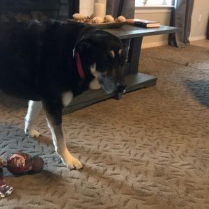 Meet your Posher, Mary